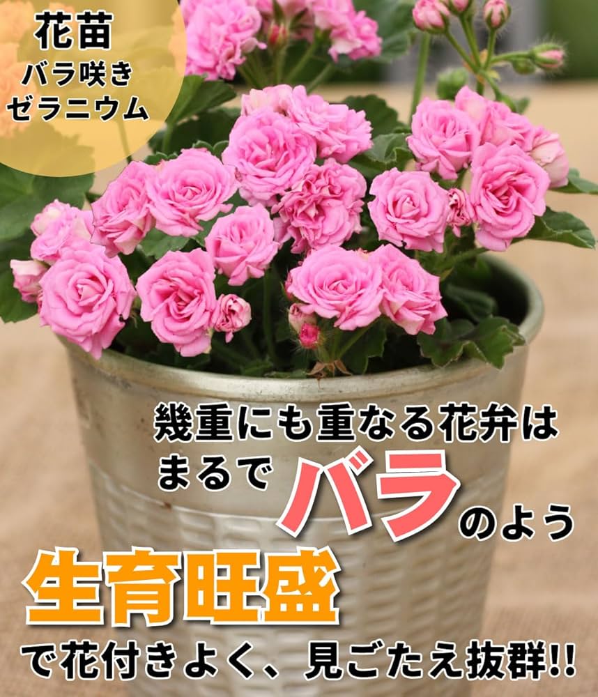 71D6f3fts6L._AC_UF1000,