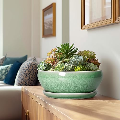 Miniatura 3 de SQOWL Maceta suculenta de 12 pulgadas, macetas de cerámica para bonsái con orificio de drenaje y platillo, maceta grande poco profunda, maceta