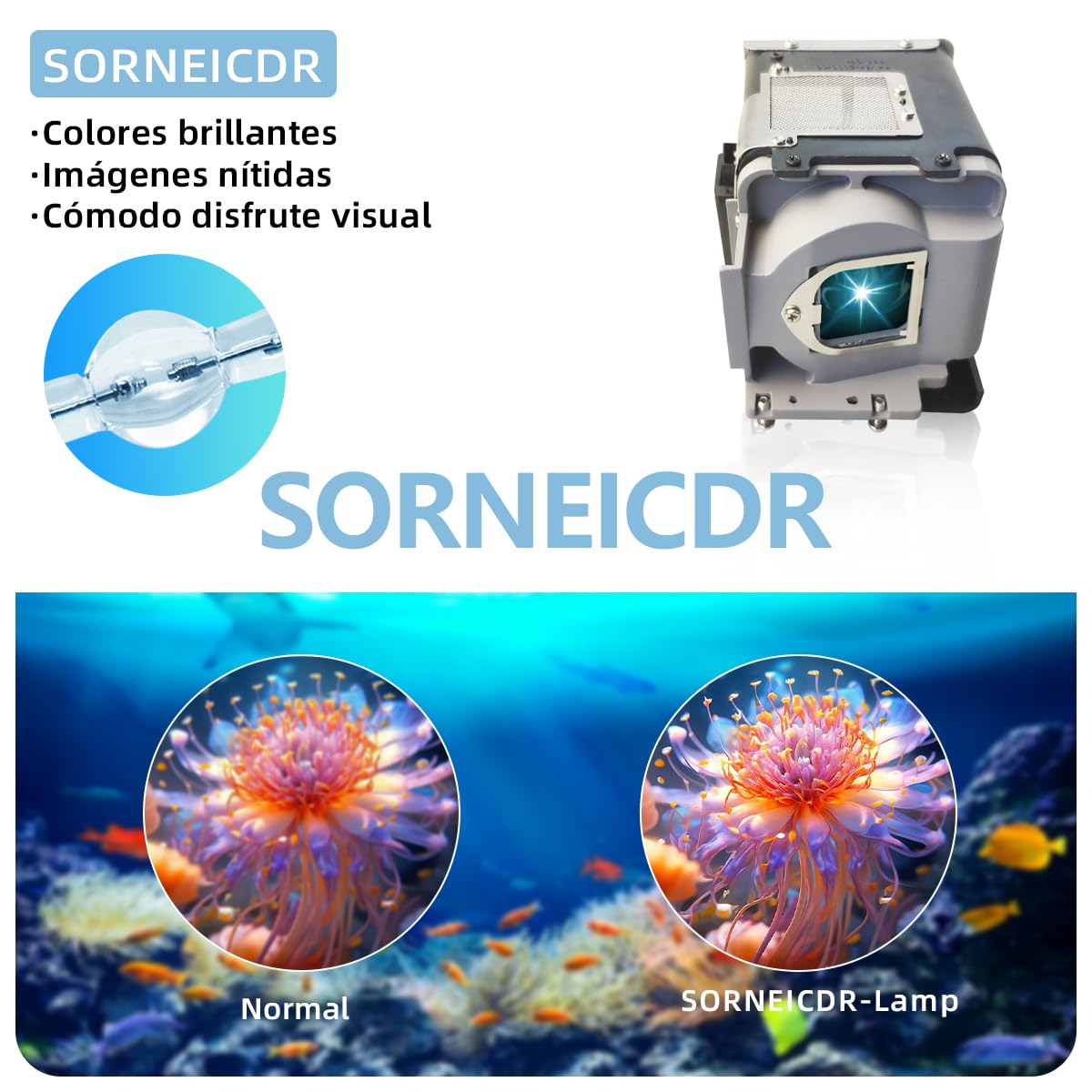 VLT-XD560LP Lampada proiettore di ricambio con alloggiamento per Mitsubishi XD550U XD360U-EST WD385U-EST WD380U-EST WD570 Videoproiettore