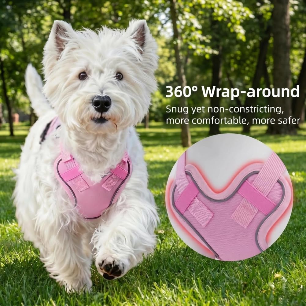 View 7