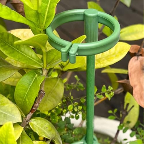 Miniatura 4 de BFYDOAA Paquete de 12 estacas de soporte de tallo único de 118 pulgadas de alto estacas de flores con clip de anillo ajustable para tomate peonía