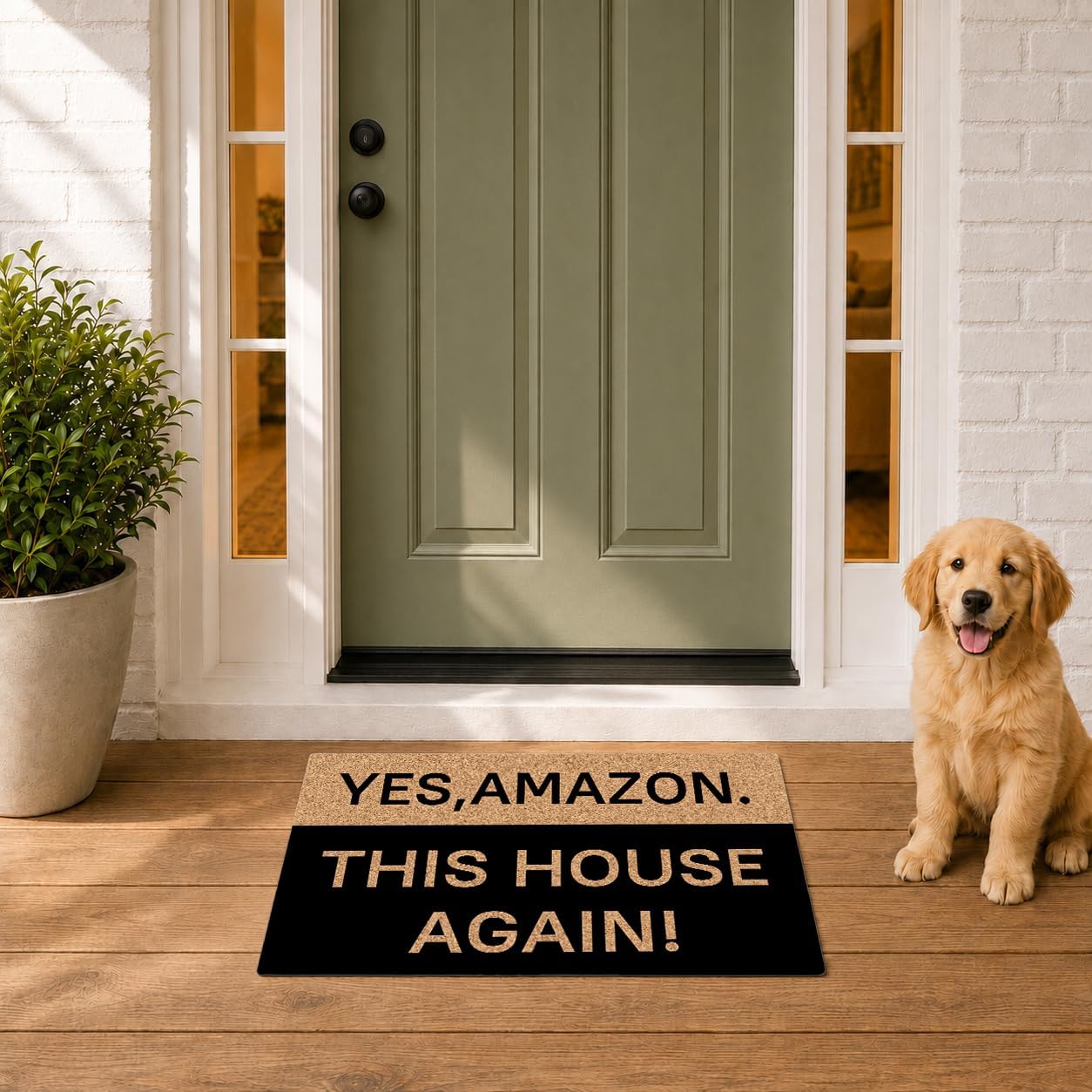 Yes Amazon This House Again Funny Doormat for Entrance Way with Non Slip Backing Indoor/Outdoor Welcome Mats Home and Office Decorative Rug 23.6 in(W) X 15.7 in(L) image 3