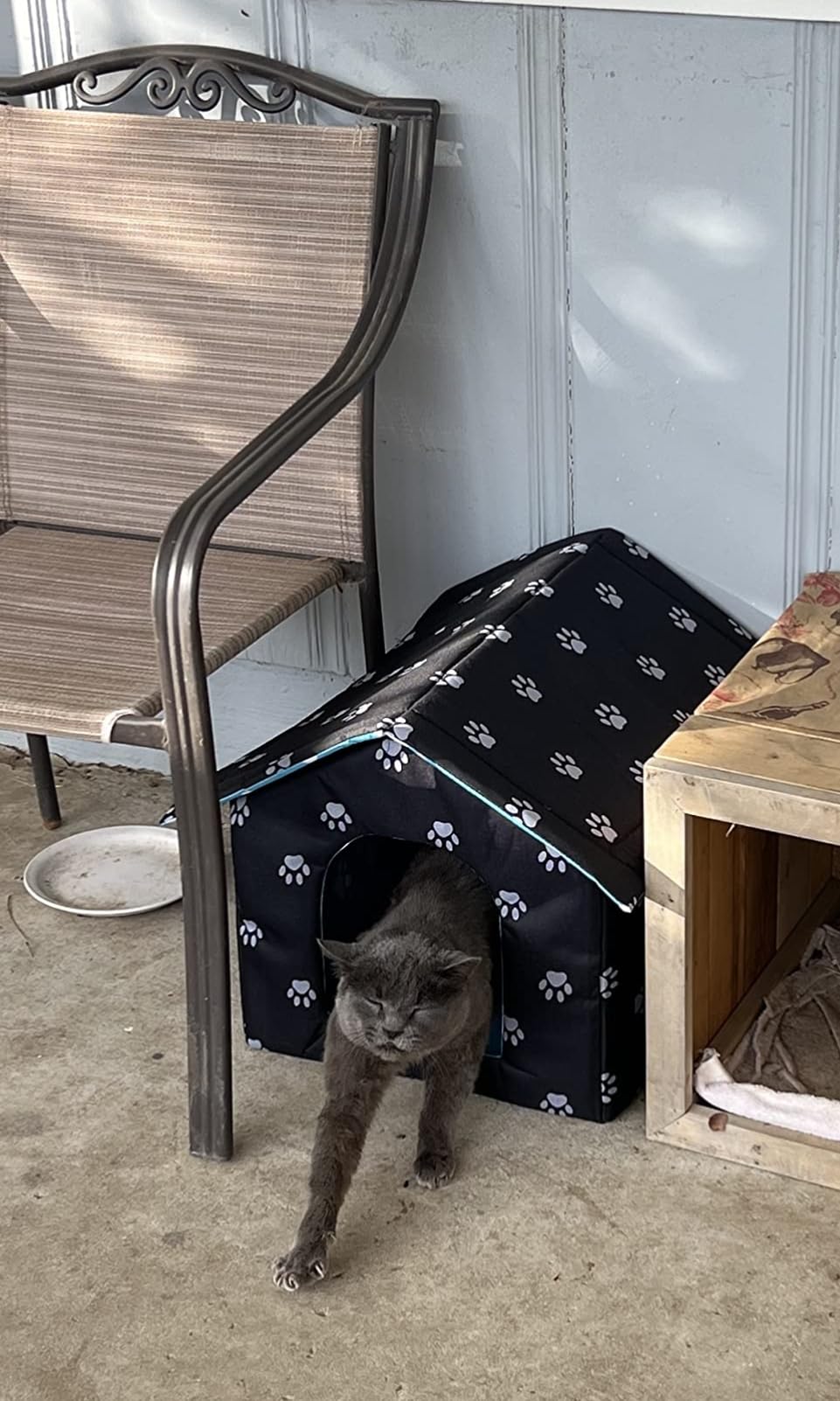 Casetta per gatti per esterni, resistente all'inverno, impermeabile, resistente alle intemperie, per animali domestici, morbida e calda, con cuscino rimovibile per cani