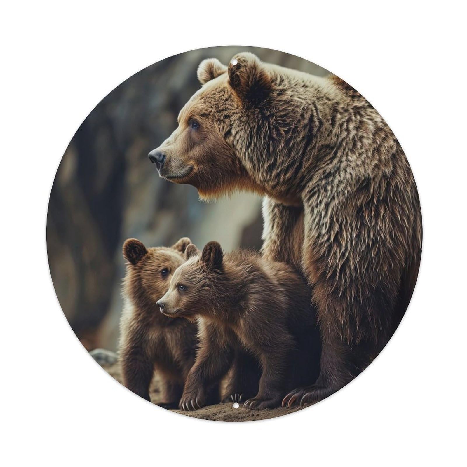 Animal Bear And Its Cubs Metal Tin Sign