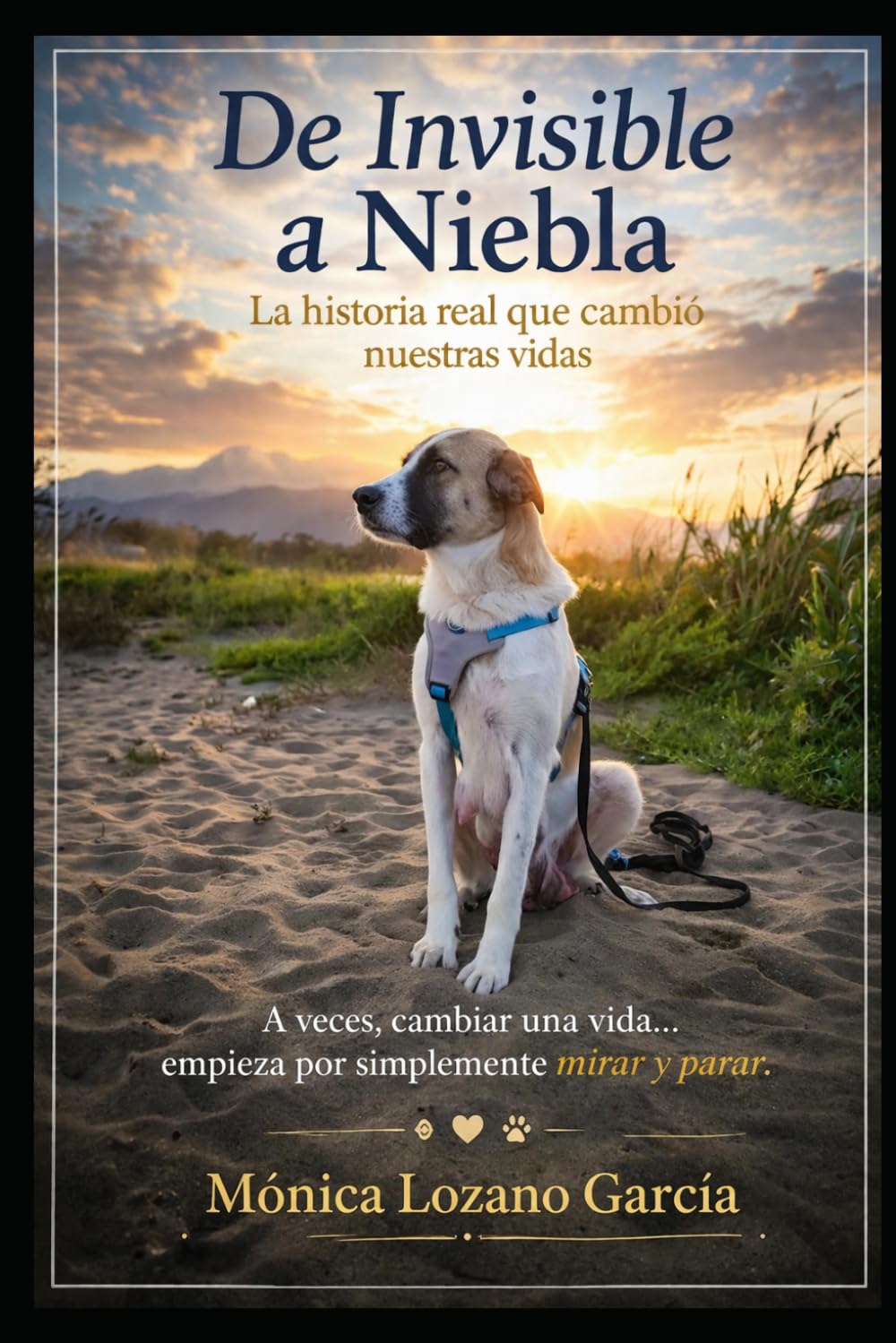 De invisible a Niebla. La historia real que cambió nuestras vidas.