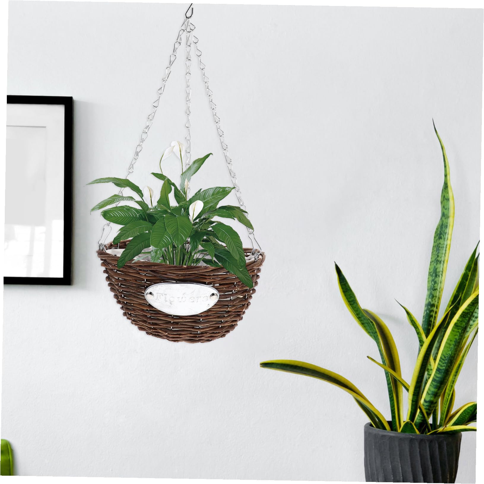 POPETPOP 2 Pezzi Vasi Sospesi per Piante da Interno ed Esterno Cestini Portavasi in Vimini Intrecciato Fioriere Sospese Resistenti per Balconi Soggiorni e Terrazze Decorazione Cesto