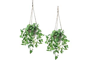 Fake Hanging Planters with Fake Plants