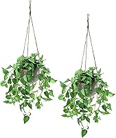 TNNTOPELE 2 Pack Artificial Hanging Plants with Pots - Realistic Faux Anthurium Leaves for Indoor Outdoor Home Decor
