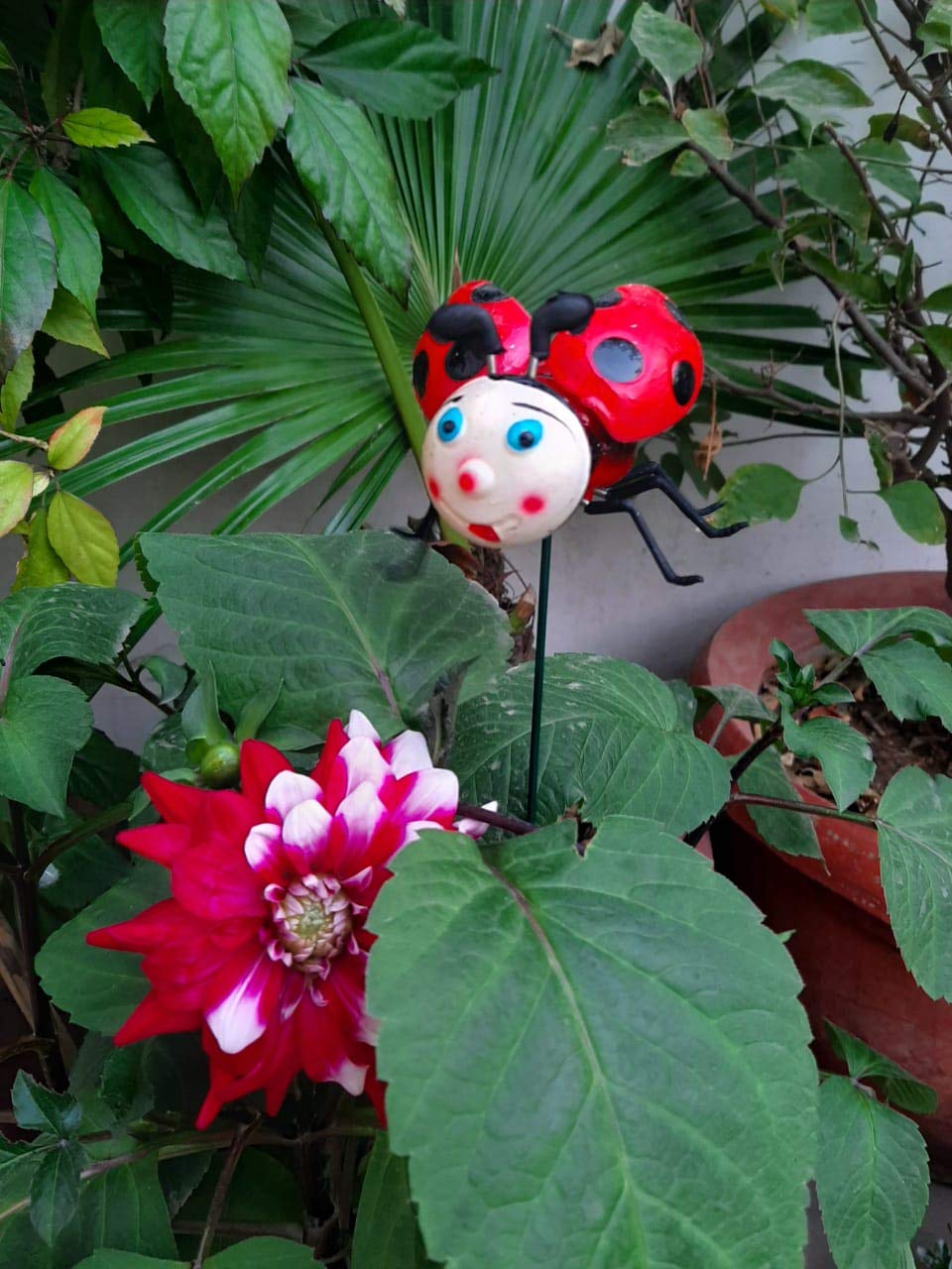 Bloom Bagicha Lady Bird Garden Stake/Stick for Balcony/Plants/Home/Garden Decoration - 61cm Long Stick (B084P3BPWY) Amazon Price History, Amazon Price Tracker