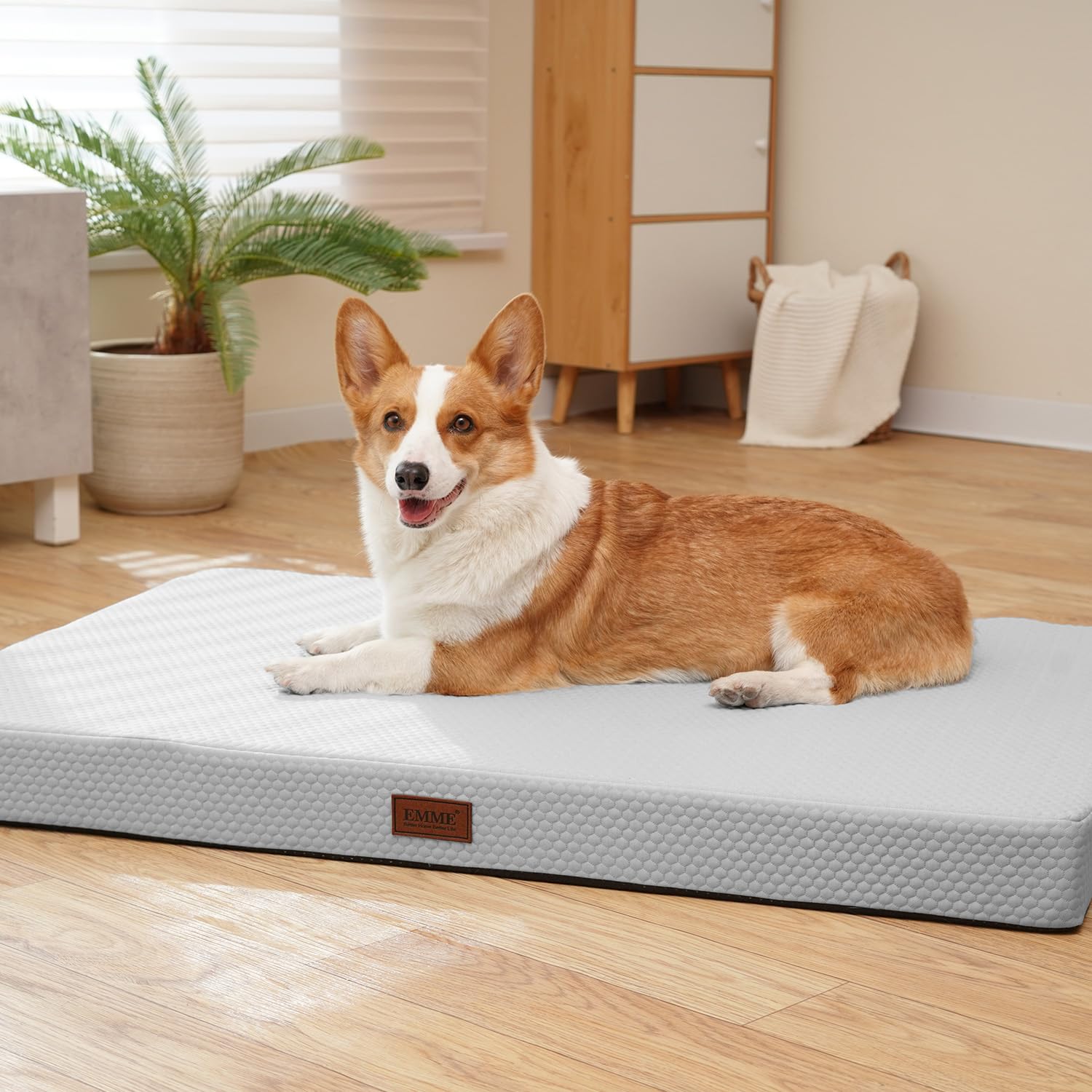 Amazon | EMME接触冷感 ペットベッド犬 ひんやりペットマット Q-max値