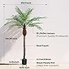 Product Photo 4