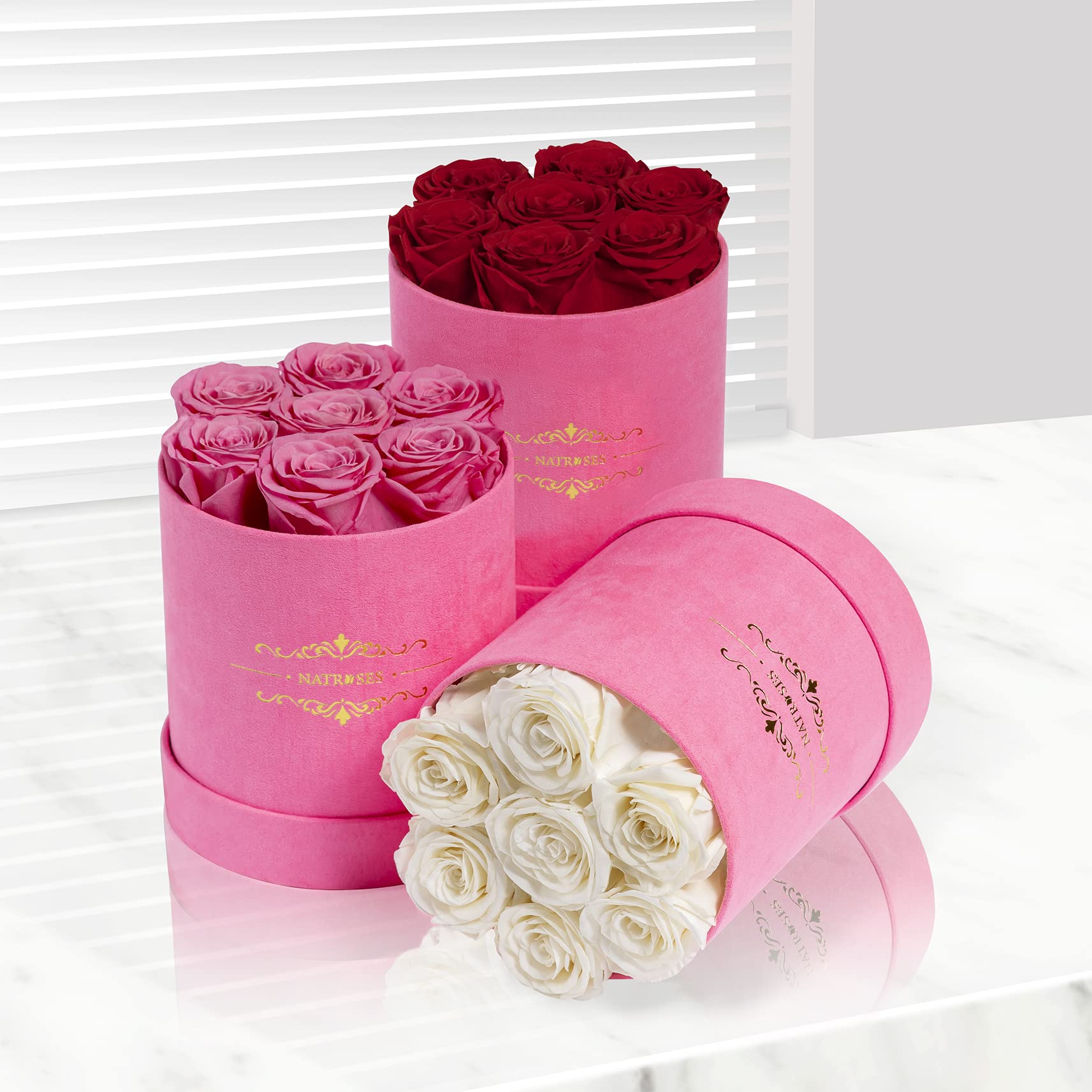 NATROSES Rosas preservadas en una caja redonda, rosas 100% reales que duran hasta 3 años, flores para entrega prime, rosa para el día de San Valentín para ella, rosas del día de la madre, aniversario