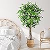 Product Photo 7