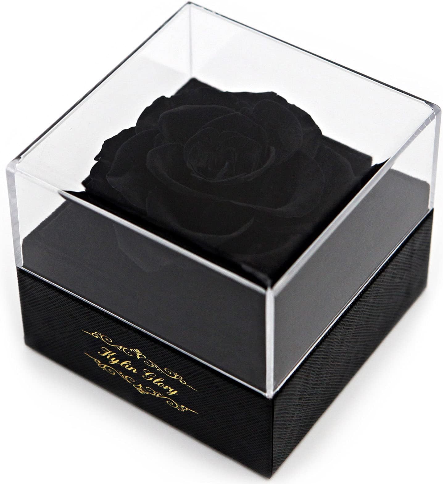 Kylin Glory Fresh Cut Flower Preserved Rose for Women Mom Wife Girlfriend - Flower Gift Real Rose Decor for Mother's Day Valentine's Day Wedding Party Celebration Birthday Anniversary (Black)