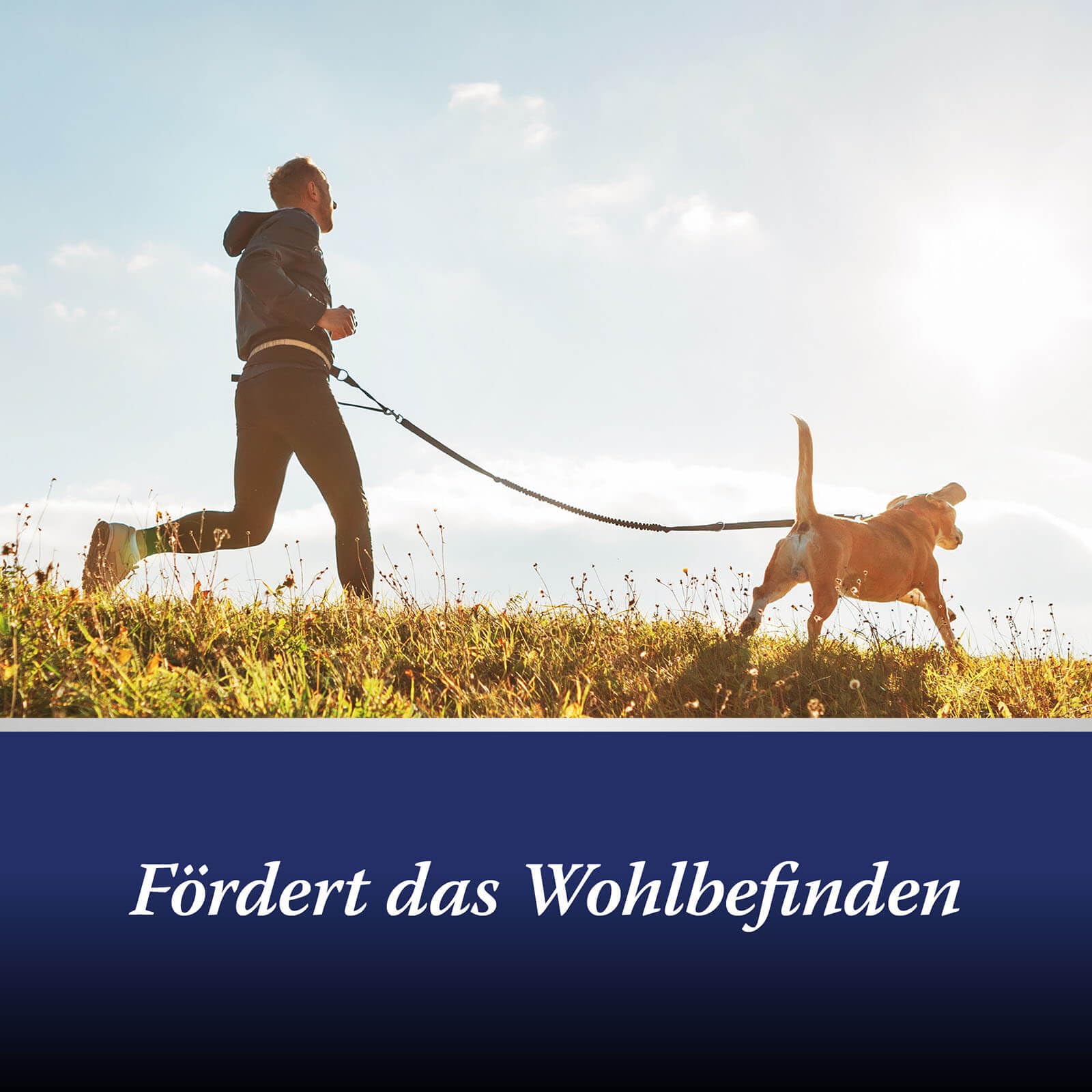 Canosept 2 x Gelenktabletten Hund - Einzigartige Rezeptur: Mit Grünlippmuschel, Glucosamin, Kollagen - Hervorragende Akzeptanz - 160 Tabletten
