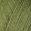 12069 Fennel