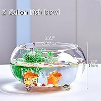 Vista 6 de Tanque de peces de vidrio de 2 galones, resistente y agradable pecera Betta, pequeños acuarios para pequeños peces ornamentales y reptiles, vidrio