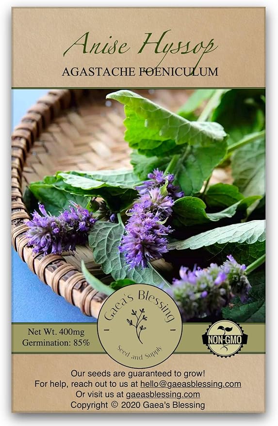 Gaea's Blessing Seeds Anise Hyssop Herb Seeds NonGMO