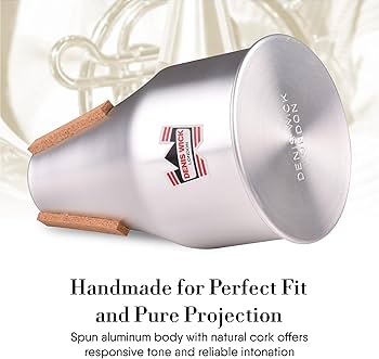 Amazon.com: Denis Wick Straight Mute for French Horn DW5524