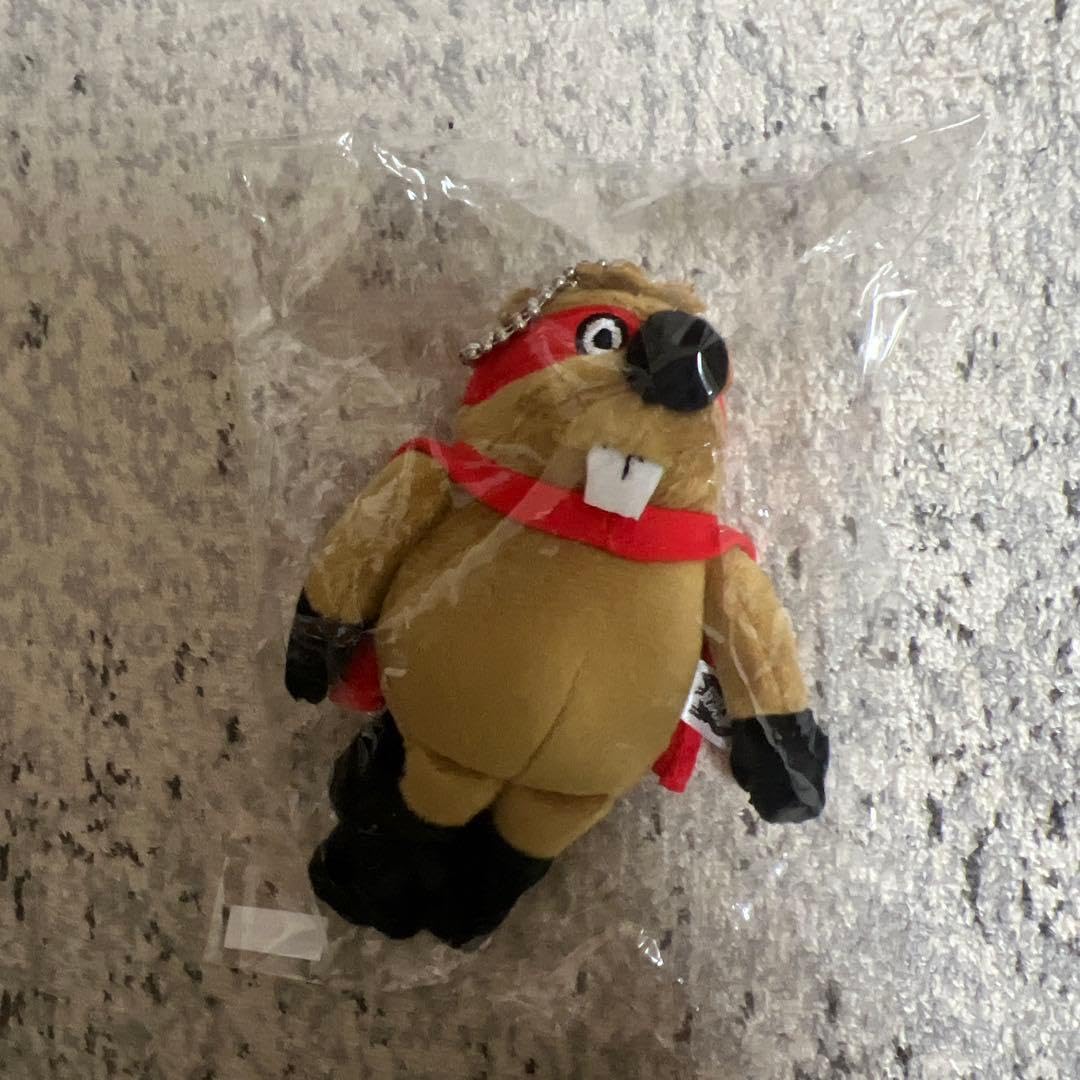 Amazon.co.jp: SUPERBEAVER マスコットキーホルダー masked スーパー