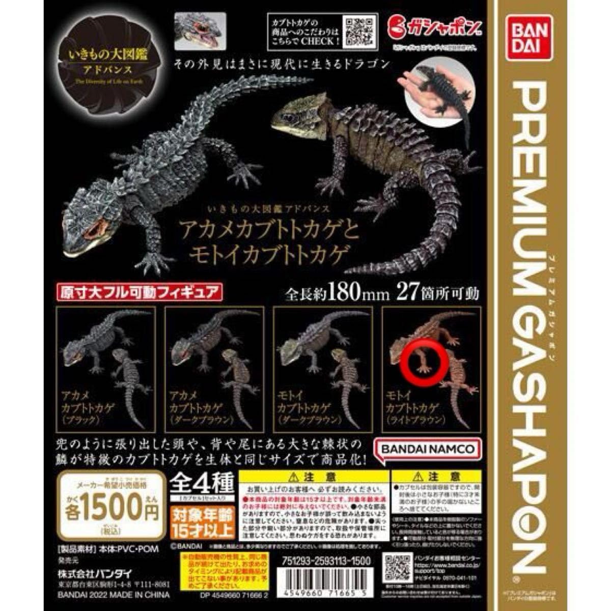 Amazon.co.jp: モトイカブトトカゲ（ライトブラウン） いきもの大図鑑