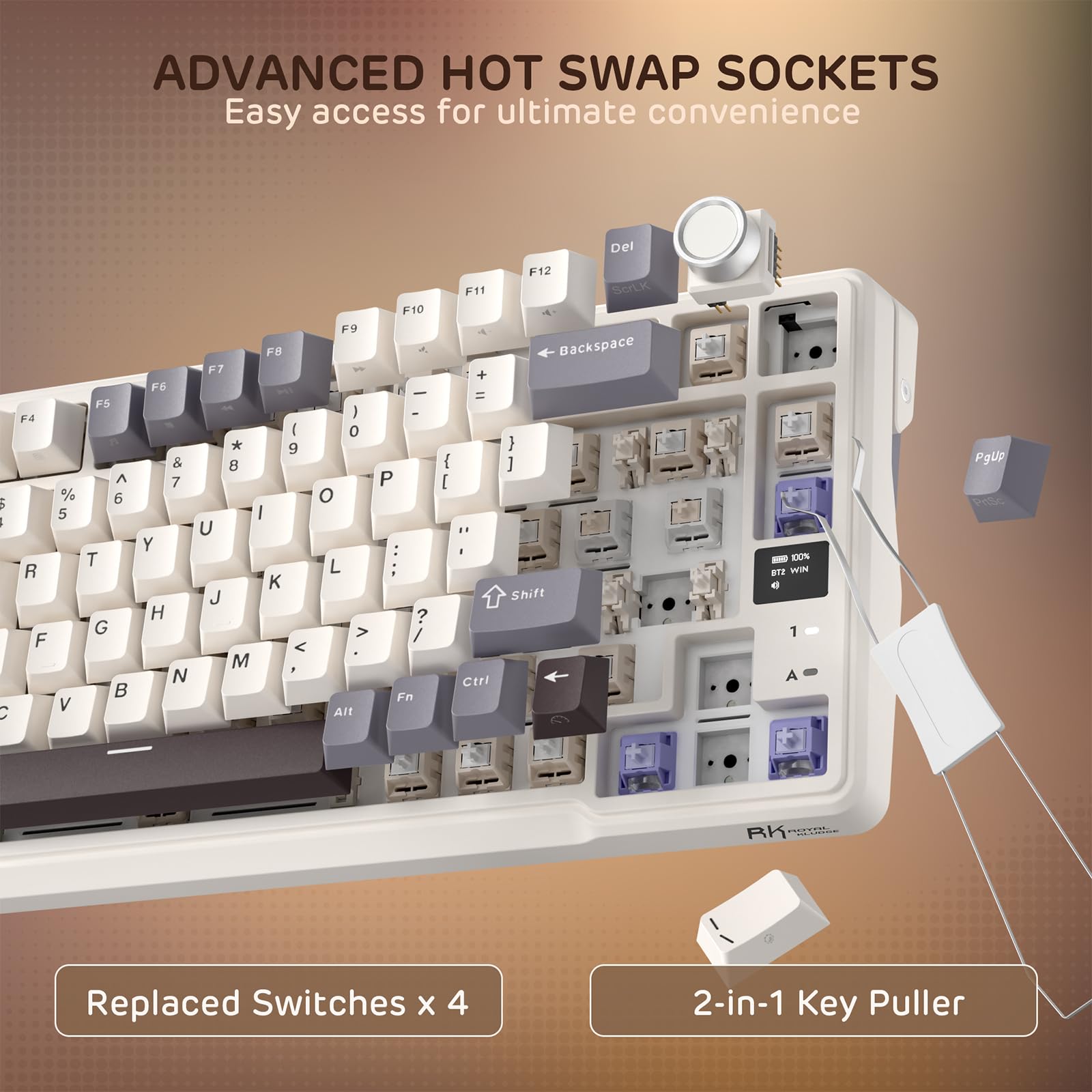 Amazon.in: Buy RK ROYAL KLUDGE L98 Wireless Mechanical Keyboard w