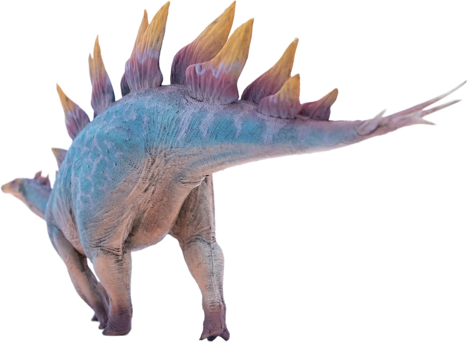 New Stegosaurus 1：35 Science and Art Model (Hao Si Wen)