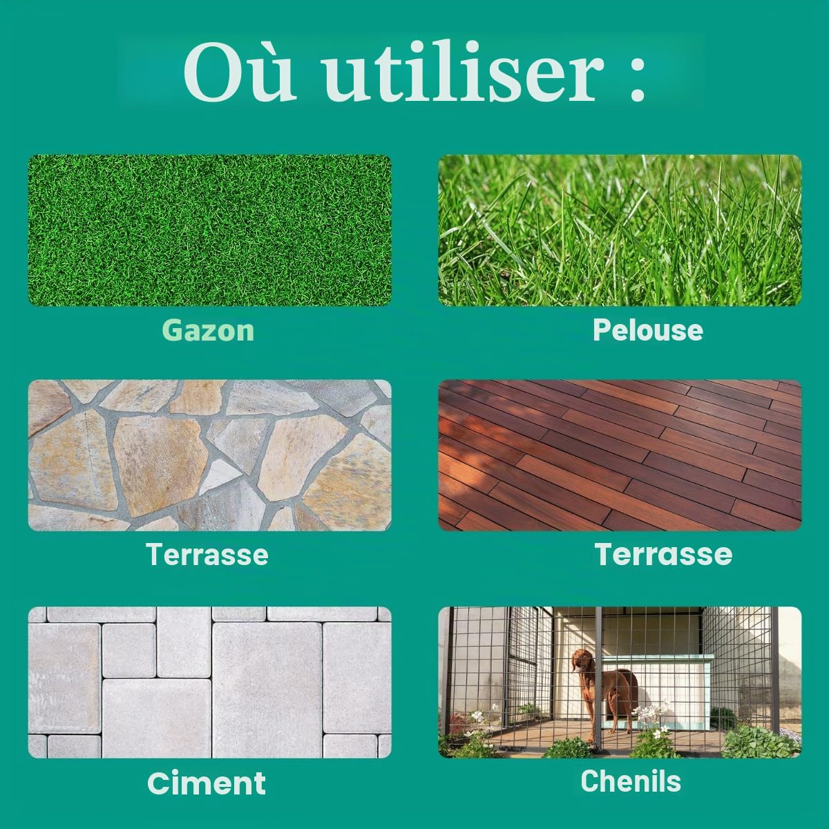 Eco Strong Éliminateur d'odeurs d'extérieur | Nettoyant enzymatique d'urine de chien – Désodorisant puissant aux parfums d'animaux domestiques, chats, animaux | Force professionnelle pour cour, gazon,