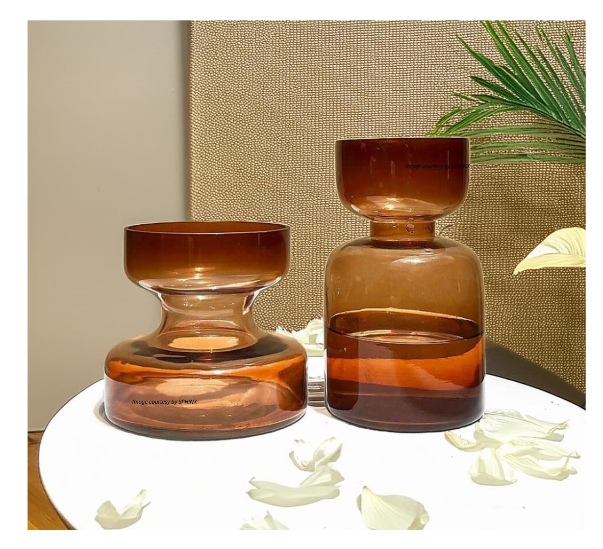 SPHINX Modern Decorative Glass Vase Set for Flowers Plants Home Decor Office Living Table Decorations, Luster Glass Vase Hourglass/Dumbbell Shape Vase Set - (Amber Hourglass Vase set)