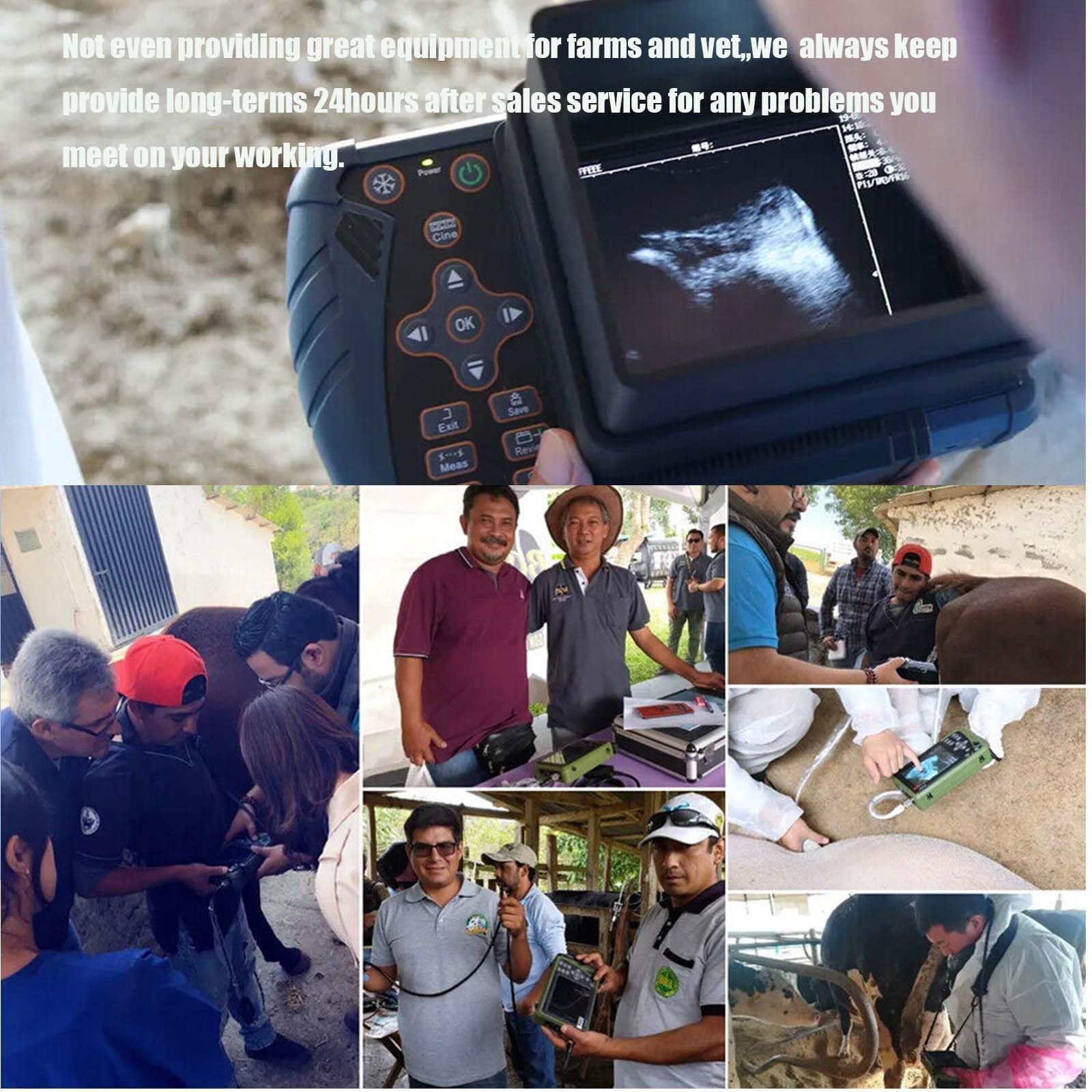 Échographe vétérinaire | Machine à ultrasons B portable avec sonde 3,5 MHz | Convient pour la détection de grossesse du bétail et des animaux domestiques