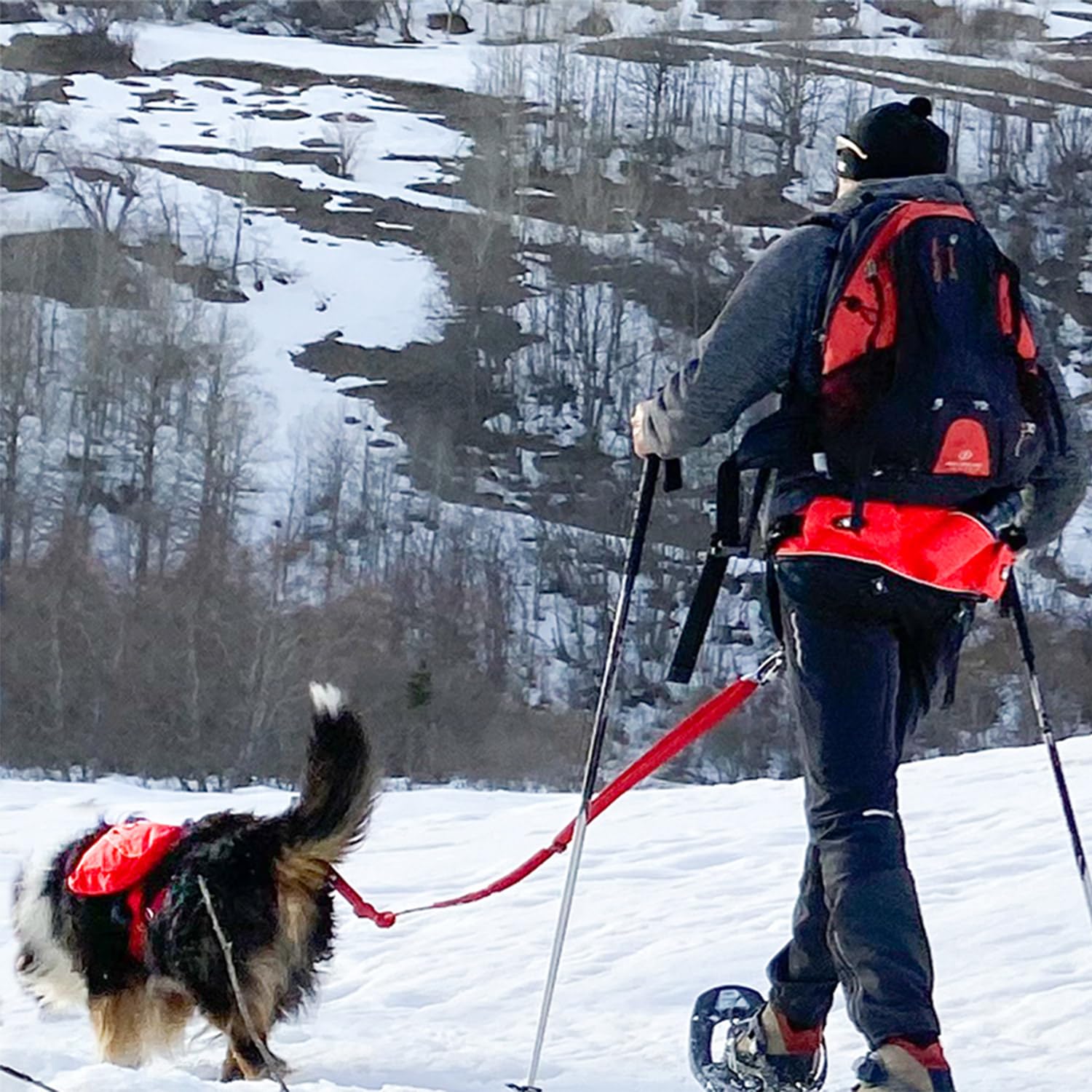Baudrier Ceinture Confort Trek I-DOG (Marque Française) canicross, cani randonnée, cani Jogging, cani Trail, Utilisation Sportive ou Loisirs pour Courir avec Son Chien, Taille Unique - Rouge