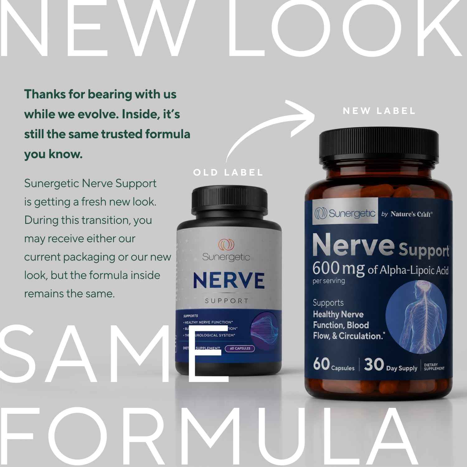 acetyl l carnitine dosage for nerve repair Amazon.com: Premium Nerve Support Supplement – with Alpha Lipoic Acid (ALA)  600 mg, Acetyl-L-Carnitine (ALC) & Benfotiamine - Nerve Support Formula for  Healthy Circulation, Feet, Hands & Toes