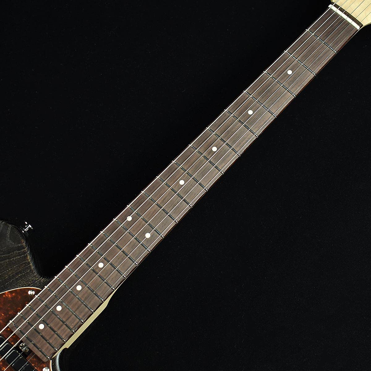 Amazon | Bacchus T-STANDARD ASH BLK/OIL S/N：106983 エレキギター