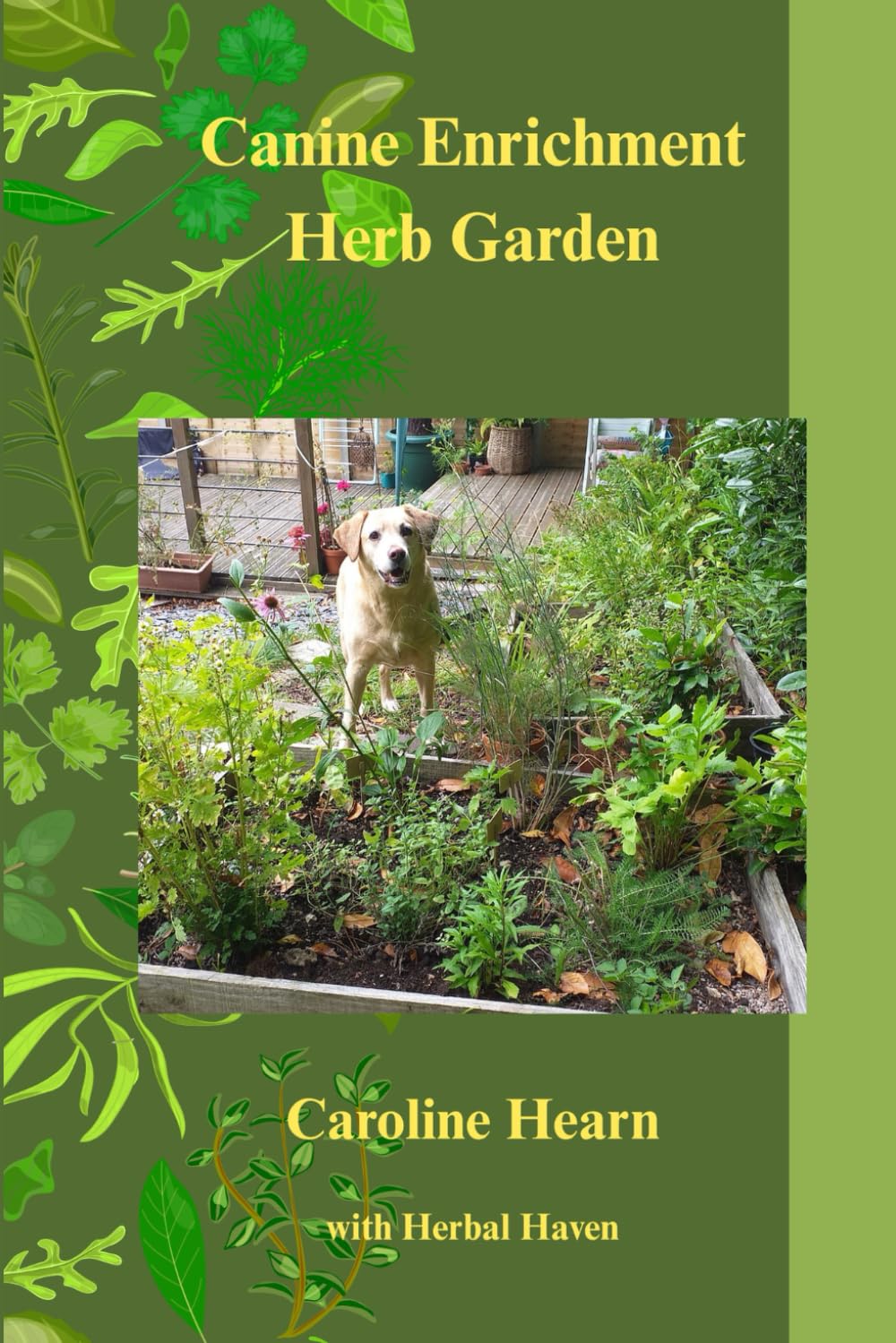 Canine Enrichment Herb Garden