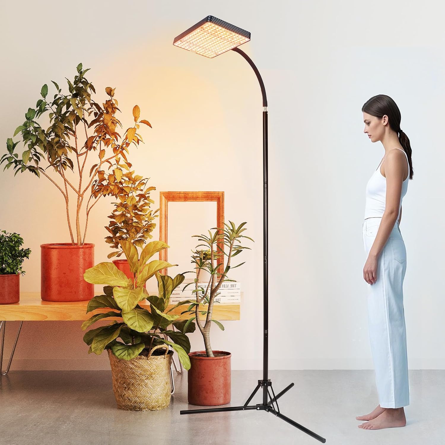 FECiDA 2026 Grow Lights with Upgraded Stand, Standing Grow Lights for Indoor Tall Plants, Bonsai Tree, 4/8/12/16/20 Hr Timer, 25 Watt Power Draw, NO Need Adapter, 24"-76" Height Adjustable