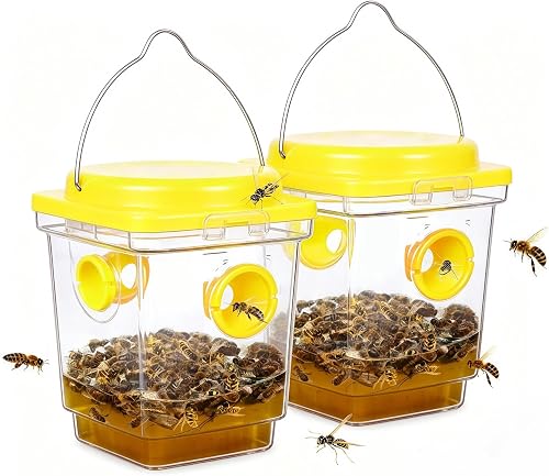 Piège à Guêpes et Frelons x2 Réutilisable 