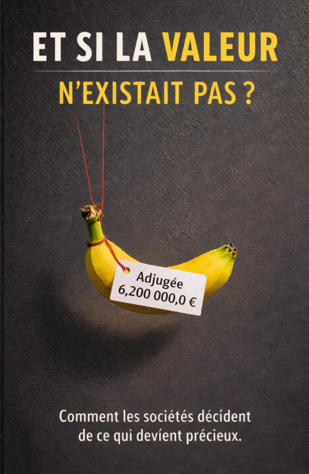 Et si la valeur n’existait pas ?: Comment les sociétés décident de ce qui devient précieux.