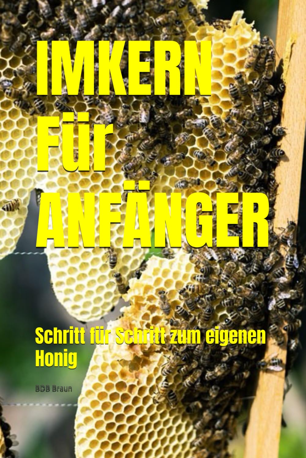 IMKERN Für ANFÄNGER: Schritt für Schritt zum eigenen Honig