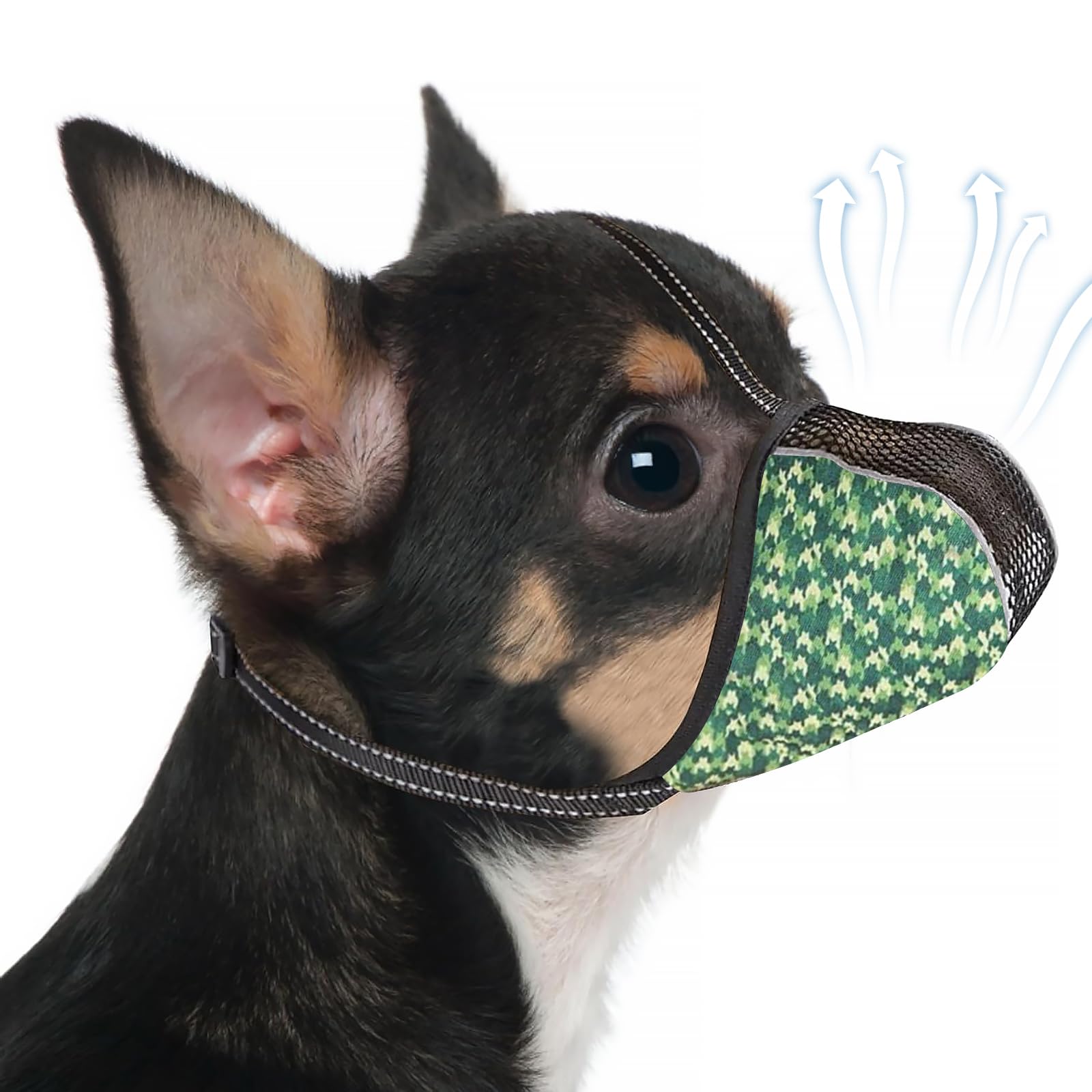 Dog Muzzles for Small Dog, Soft Air Mesh Anti-Biting Licking Chewing, Breathable Reflective Adjustable Mouth Guard Cover for Grooming Scavenging (1, Green, XS)