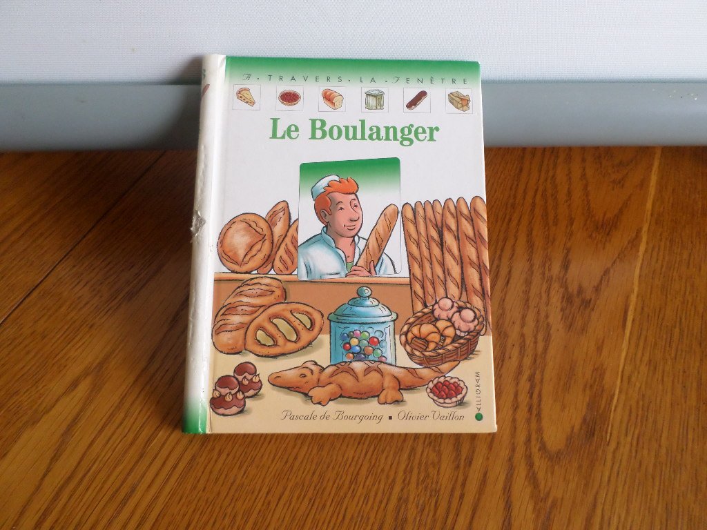 Boulanger Le Bourgoing, Pascale de and Vaillon, Olivier