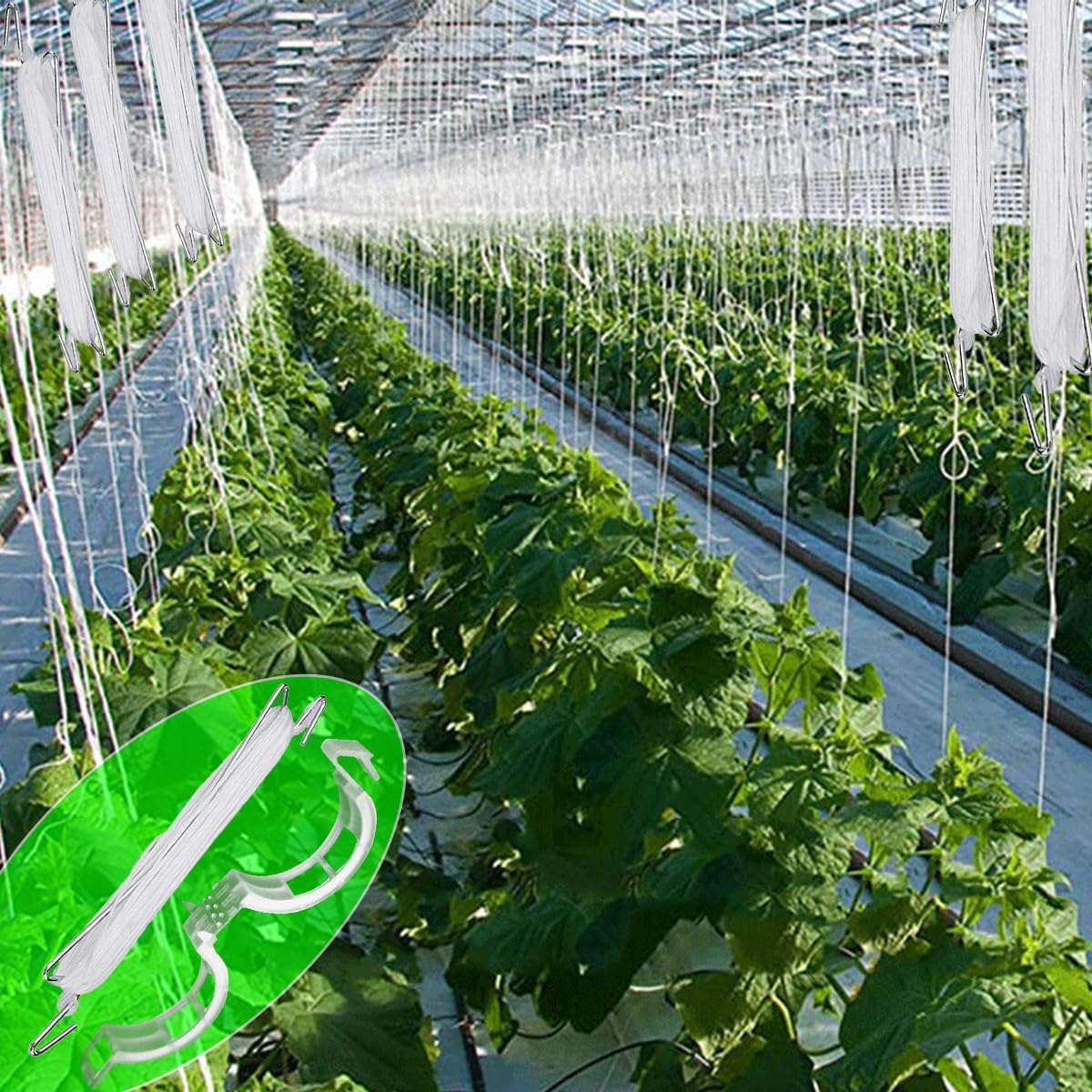 85pcs Tomato Support J Hooks with String, Plant Climbing J Hooks Set Plant Climbing Hook with 33ft Twine, Garden J Hooks &plant support clips Support Trellises For Support Plant Vegetable Fruit Flower