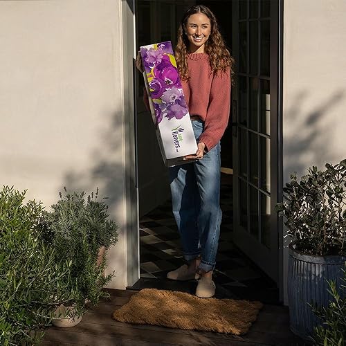 Miniatura 5 de 1800 Flores  Ramo mixto rosa doble (jarrón rosa incluido)  Flores frescas para entrega  Regalo para aniversario, cumpleaños, felicitaciones,