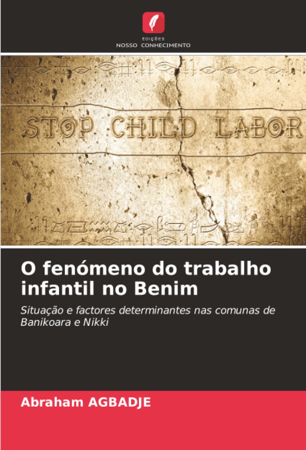 O fenómeno do trabalho infantil no Benim: Situação e factores determinantes nas comunas de Banikoara e Nikki