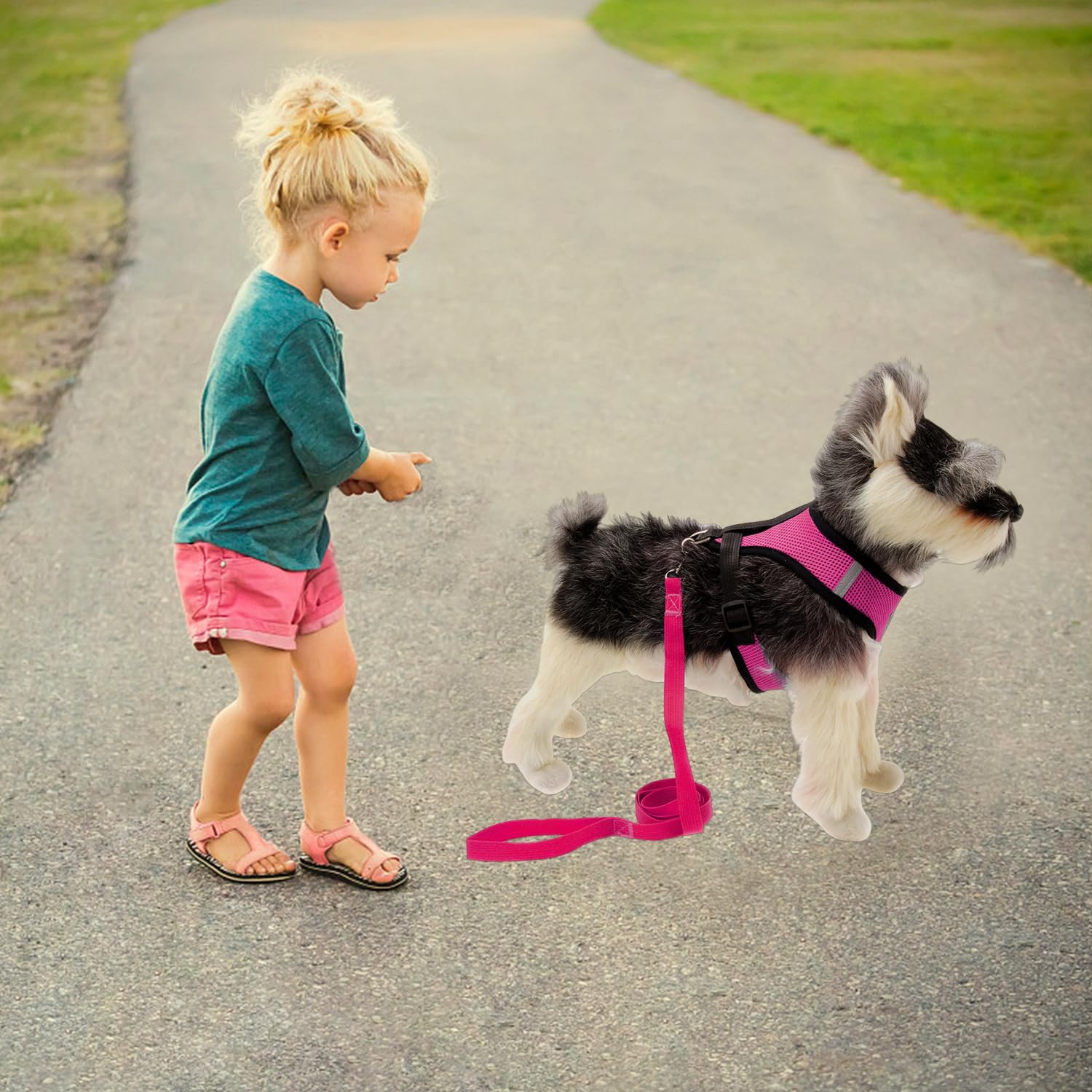 Corde De Traction pour Animaux De Compagnie en 1 Parts, 5 Anneaux D'Identification des Pieds, Réseau Confortable Et Respirant, Élé, À L'Extérieur dans La Ceinture De Traction De Poulet Gratuite.