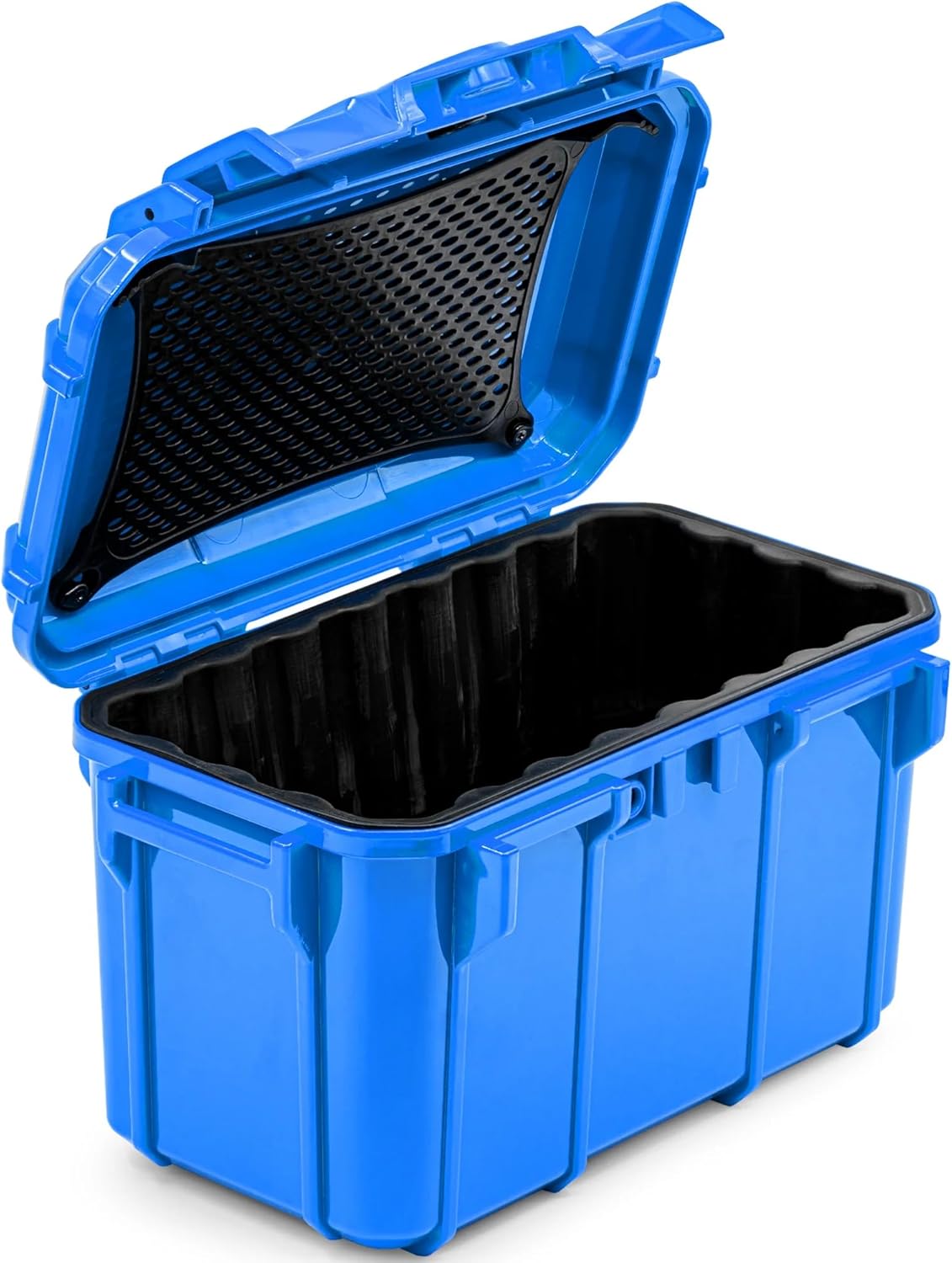 Seahorse - 59 CASE Blue