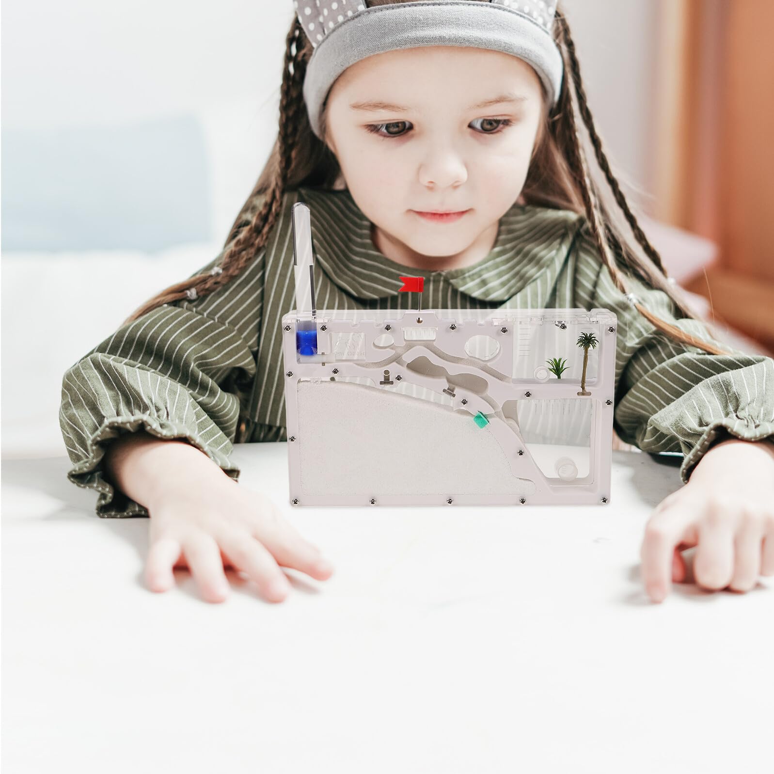 iplusmile Juguetes Ecoeducativos Hormiguero de Observación para Insectos Kit de Experimentos Científicos para Aprender Interiores y Exteriores Hábitat Ecológico