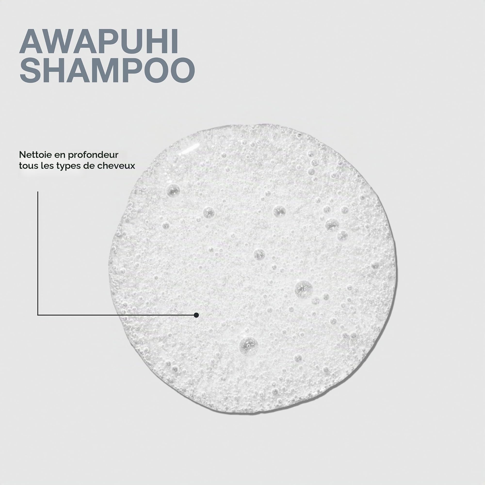 Paul Mitchell Original Awapuhi Shampooing 1000 ml