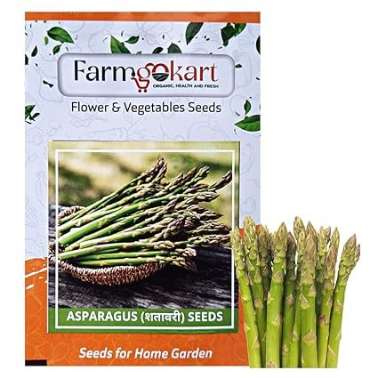 10 GMS ASPARAGUS Seeds | Best Suitable For Terrace And Home Gardening | vegetable and Herbs Seeds Pouch