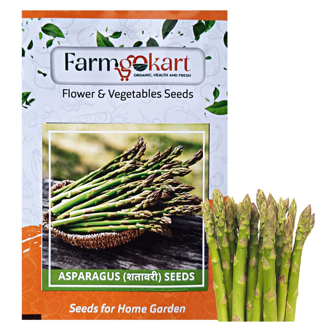 10 GMS ASPARAGUS Seeds | Best Suitable For Terrace And Home Gardening | vegetable and Herbs Seeds Pouch (B0BTM191GS) Amazon Price History, Amazon Price Tracker