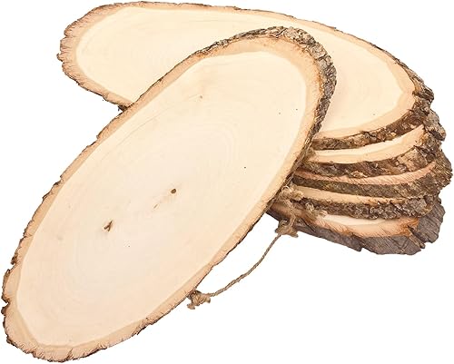 Paquete de 6 letreros ovalados grandes de tilo de 16 pulgadas, rebanada de madera para manualidades de pintura